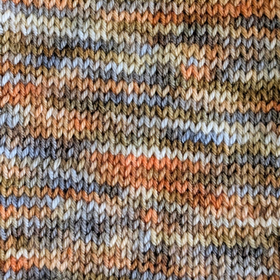 Once upon a time in my garden: a little robin